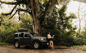 Epic Maui Car Camping